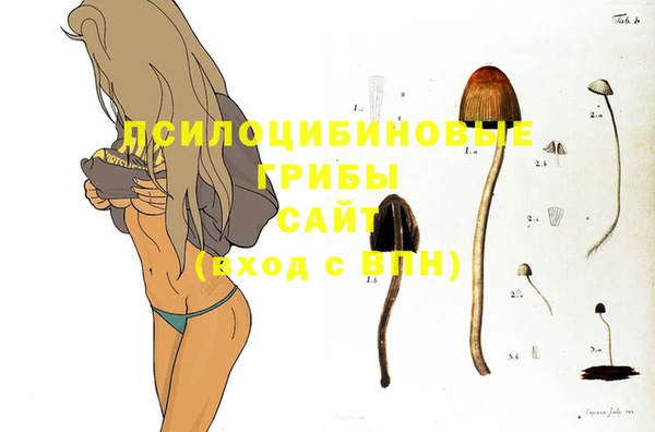 гидра Заволжье