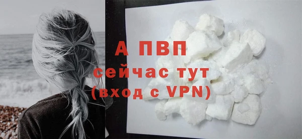 гидра Заволжье